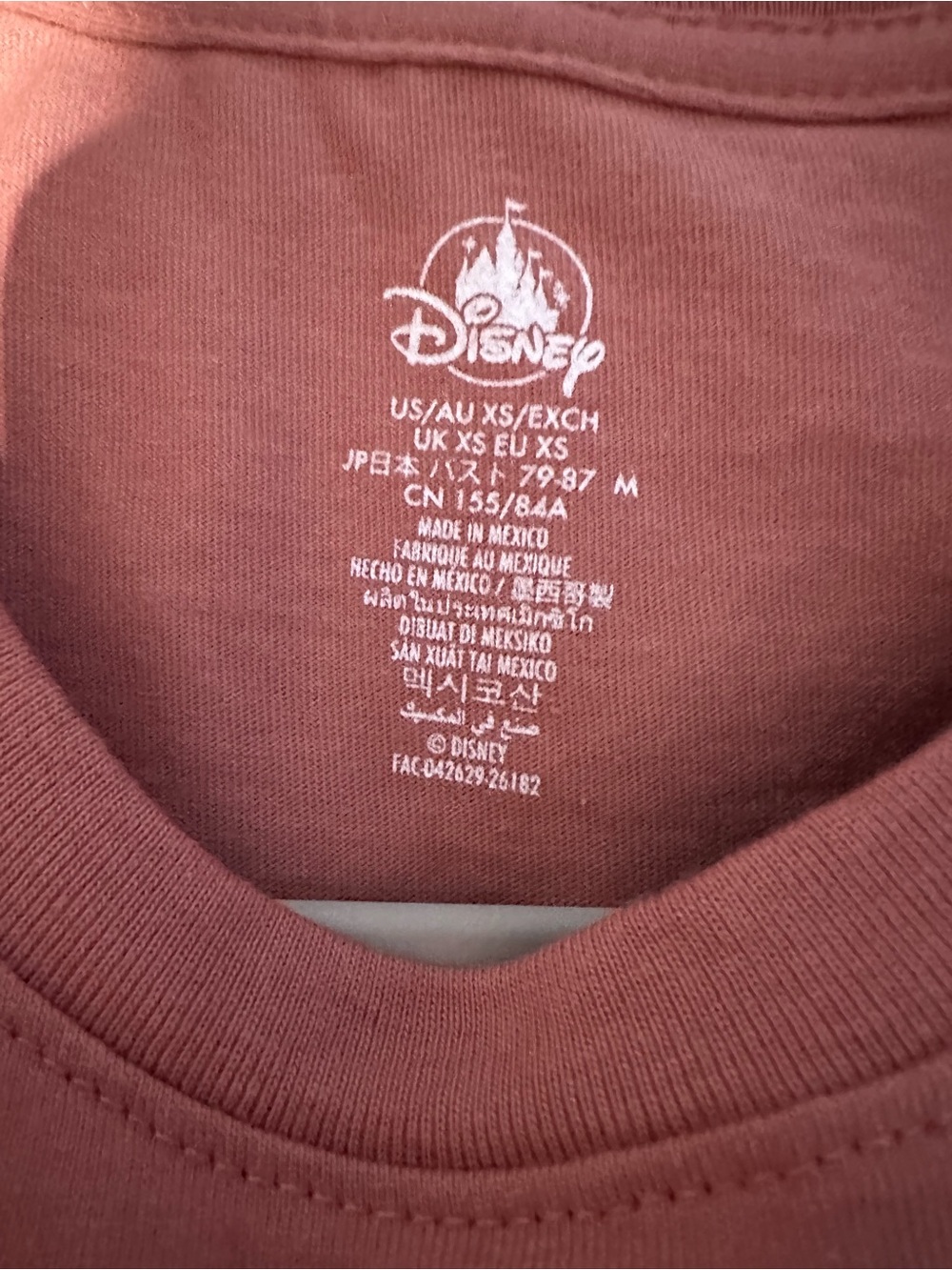 Disneyland Bundle (Spirit Jersey and Shirt) - Picture 8 of 9